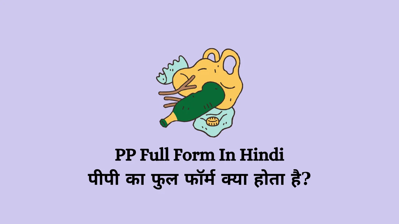 PP Full Form
