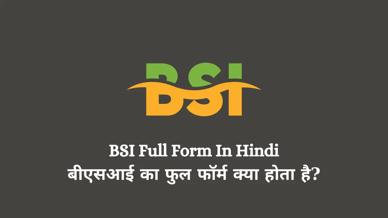 BSI Full Form